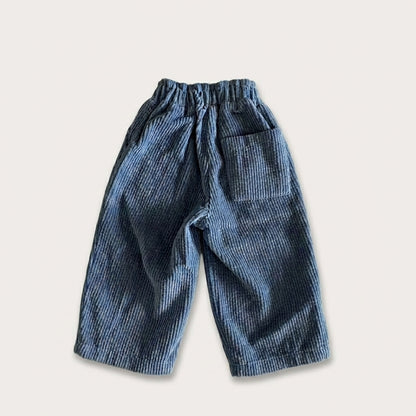 Corduroy Pull On Pants