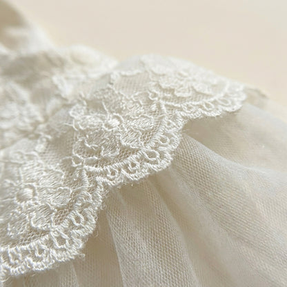 Short Sleeve Lace Tulle Dress