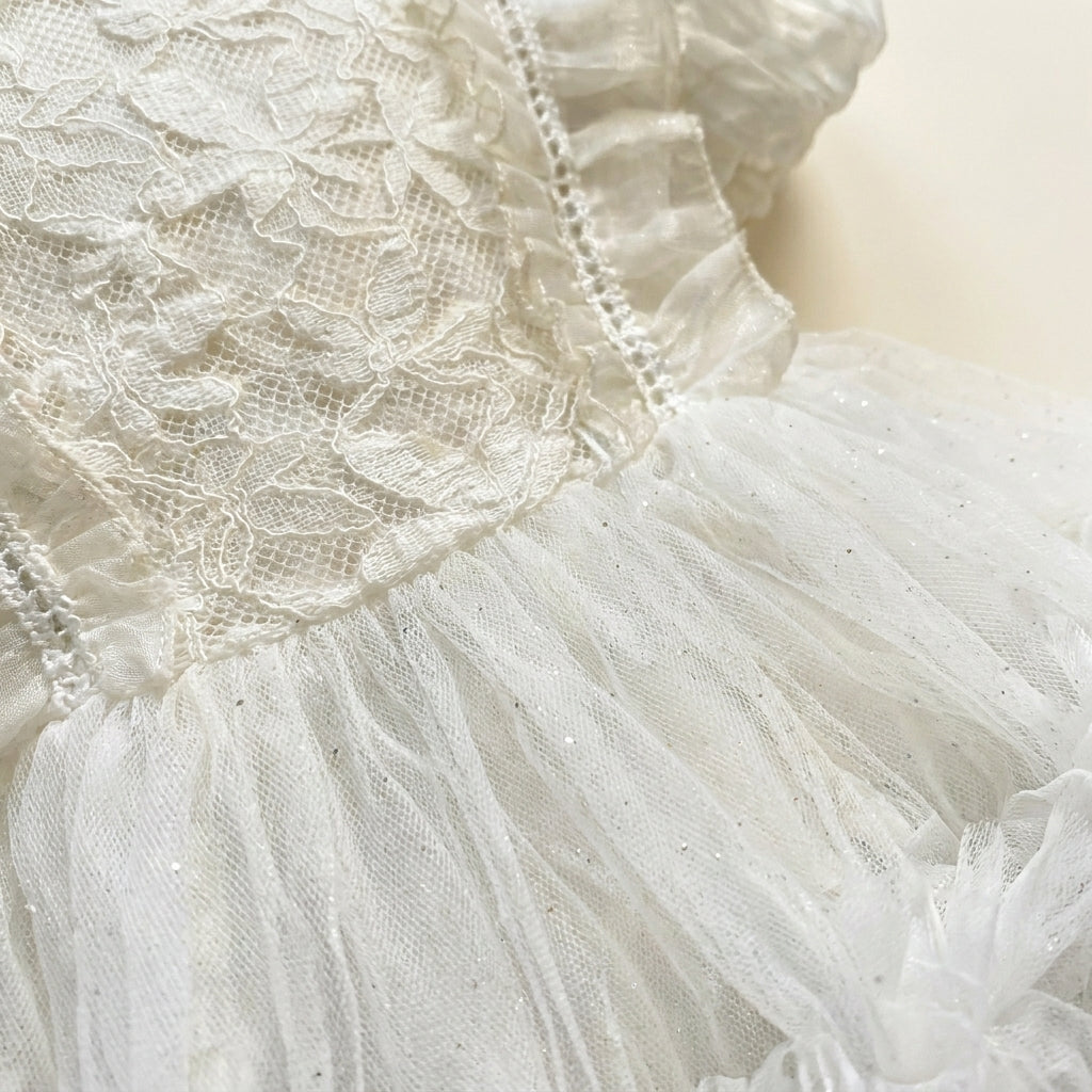 Short Sleeve Lace Tulle Dress