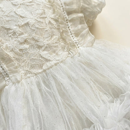 Short Sleeve Lace Tulle Dress
