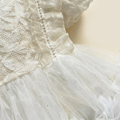 Short Sleeve Lace Tulle Dress