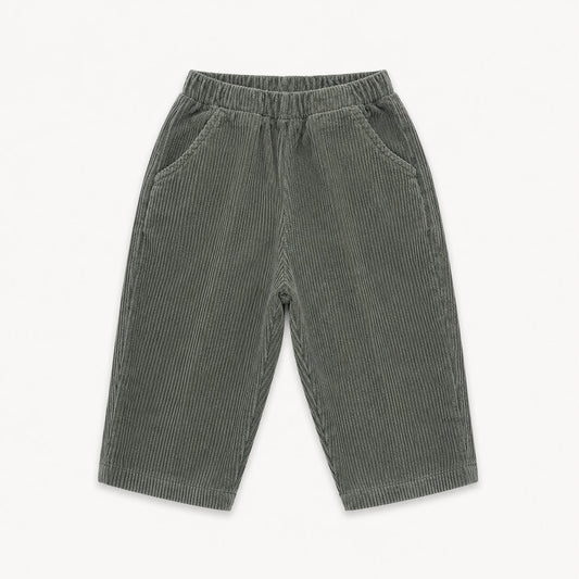 Corduroy Pull On Pants