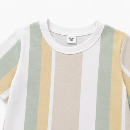 Striped T Shirt and Shorts Set