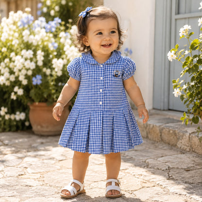 Collared Gingham Dress