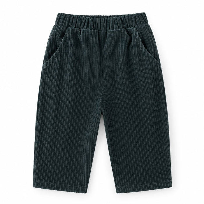 Corduroy Pull On Pants