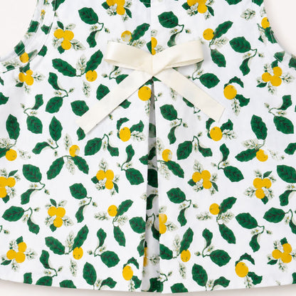 Lemon Blossom Shorts Set